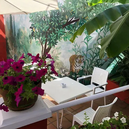 酒店 坎姆皮奥码头酒店 3*